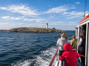 Мелодия Соловецких островов — морские экспедиции и заповедные сокровища Белого моря, 5 дней + ж/д